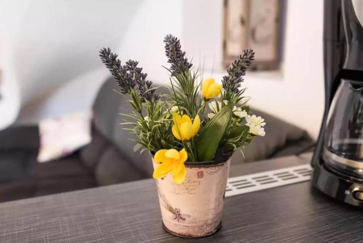 Apartmán Greta Vrbnik